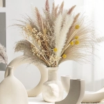 Natural Dried Flowers Pampas Pampas Grass Home Decor Decoration